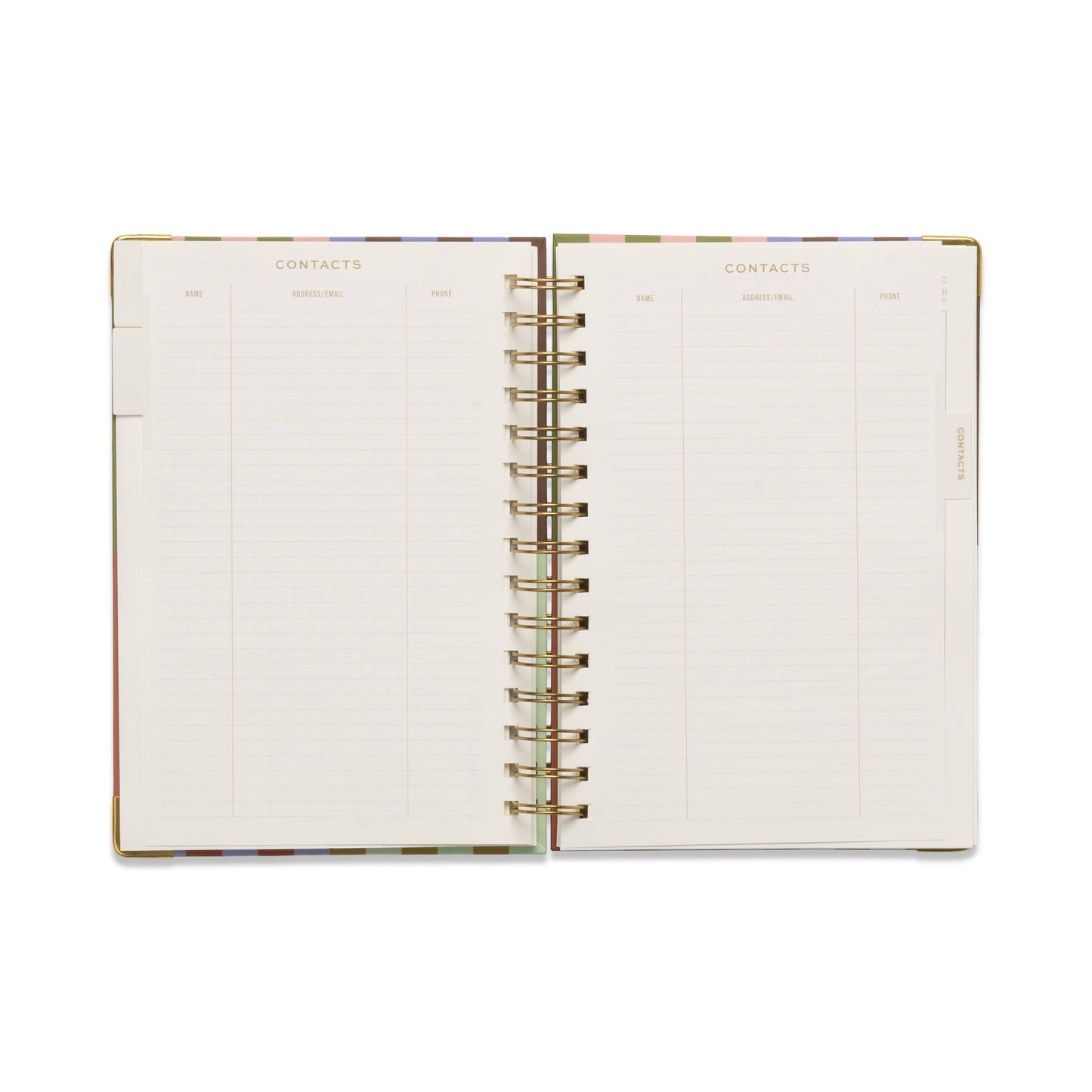 Bold Stripe Undated 13 Mo Perpetual Planner