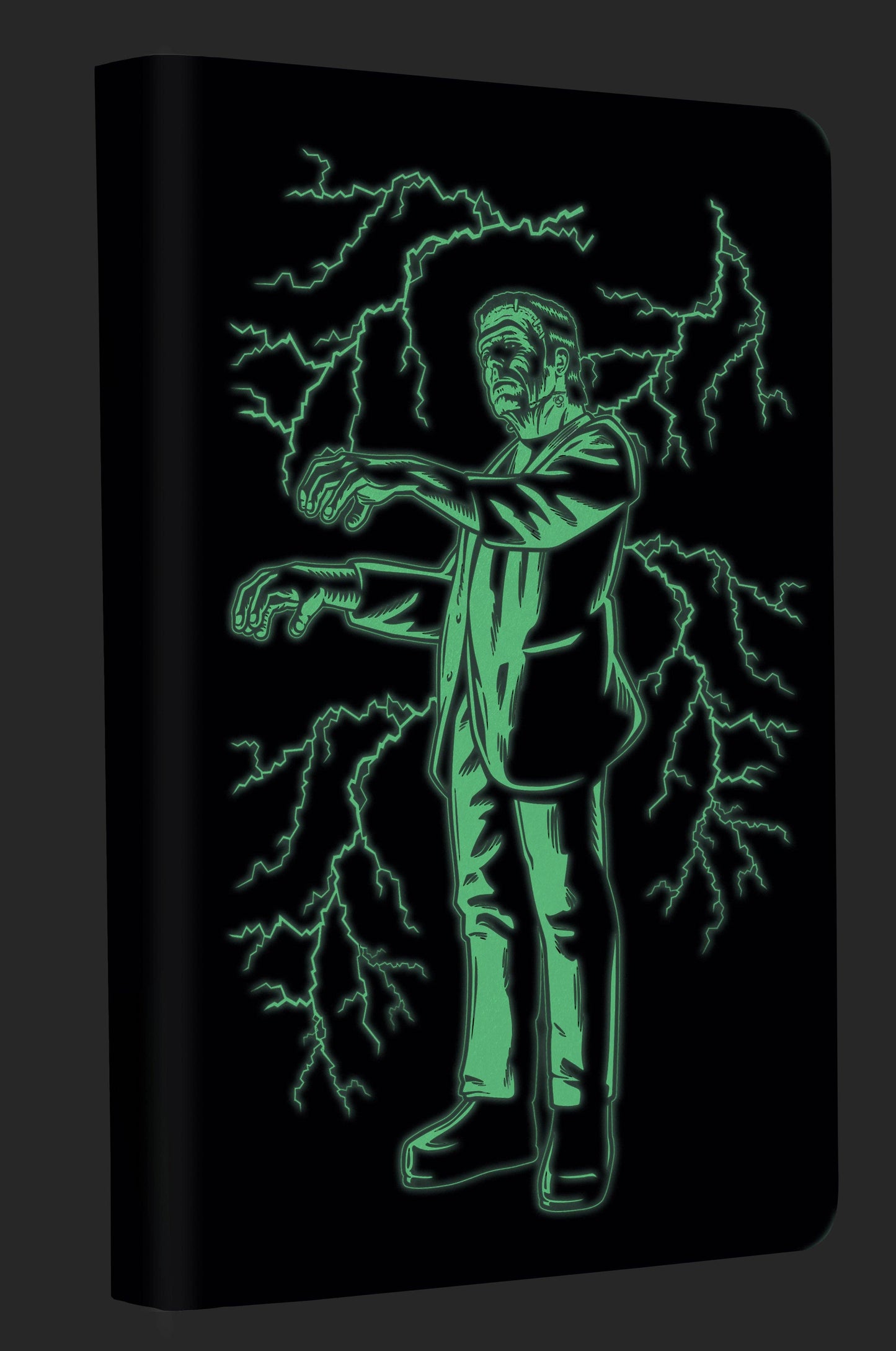 Frankenstein Glow in the Dark Journal
