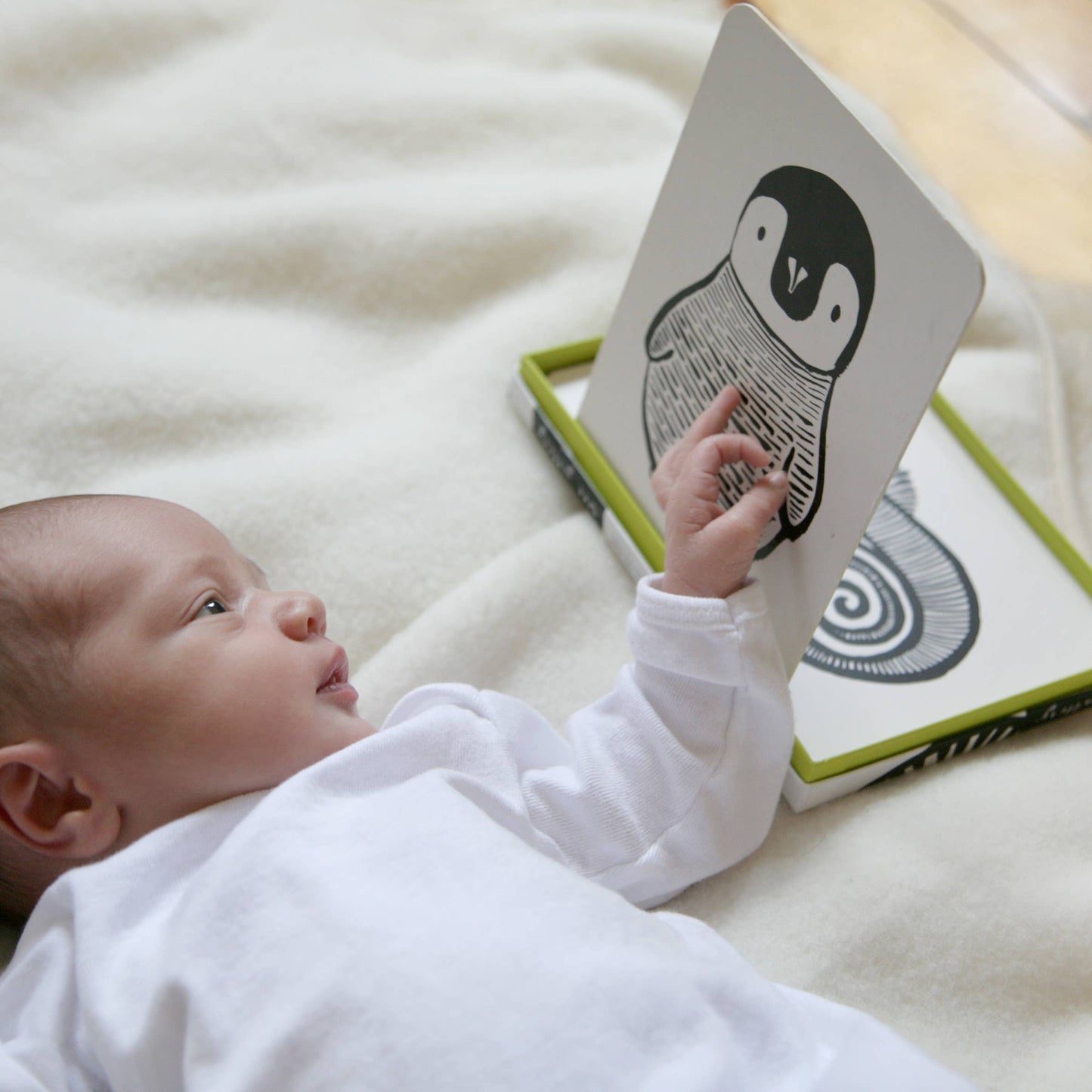 Black and White Animals Art Cards for Baby