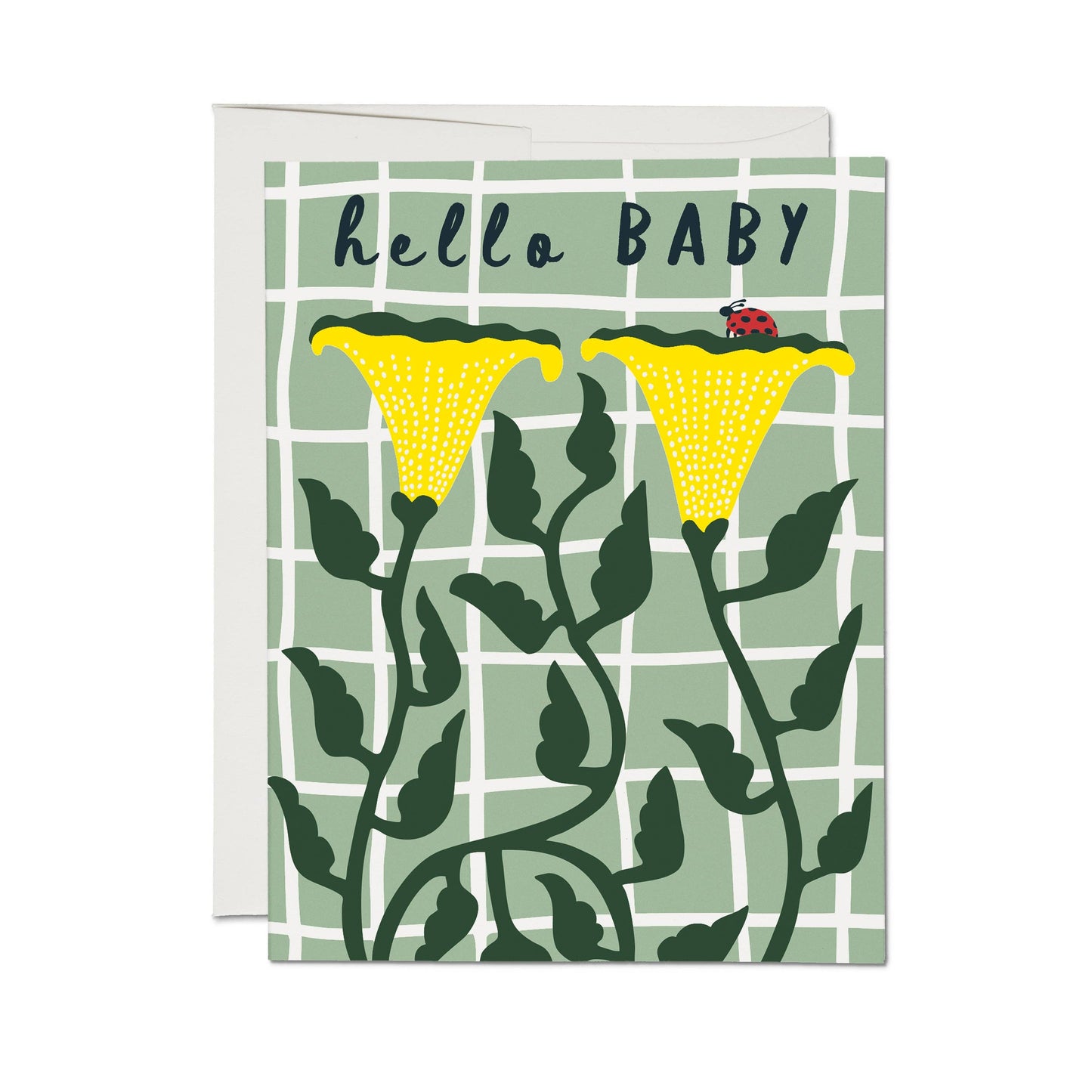 Ladybug Hello Baby card