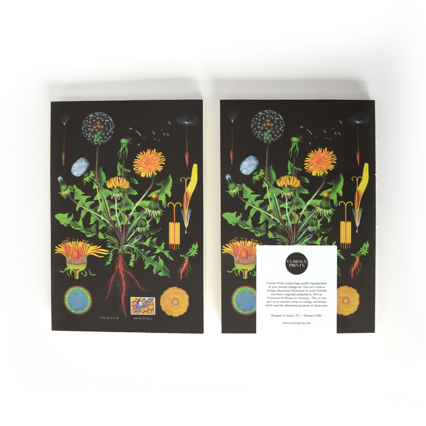 Botanical Dandelion Notebook