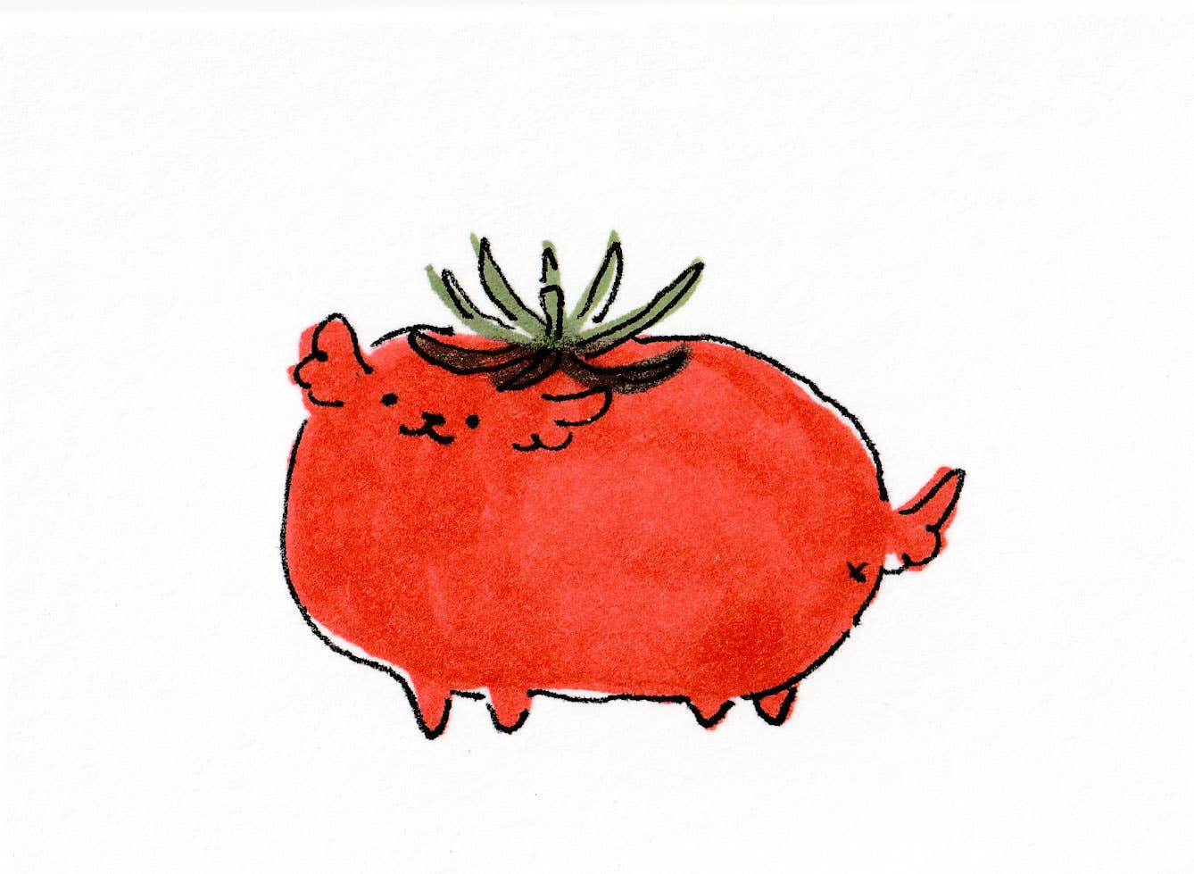Lil' Tomato Dog mini print
