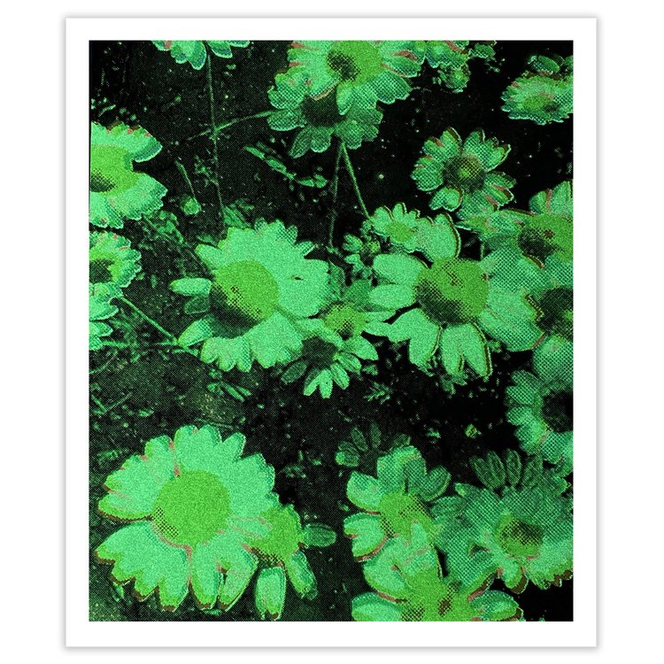 Flower Study #5 print
