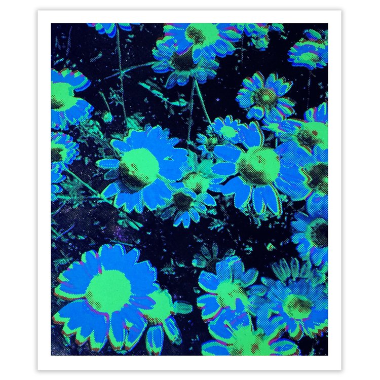 Flower Study #5 print