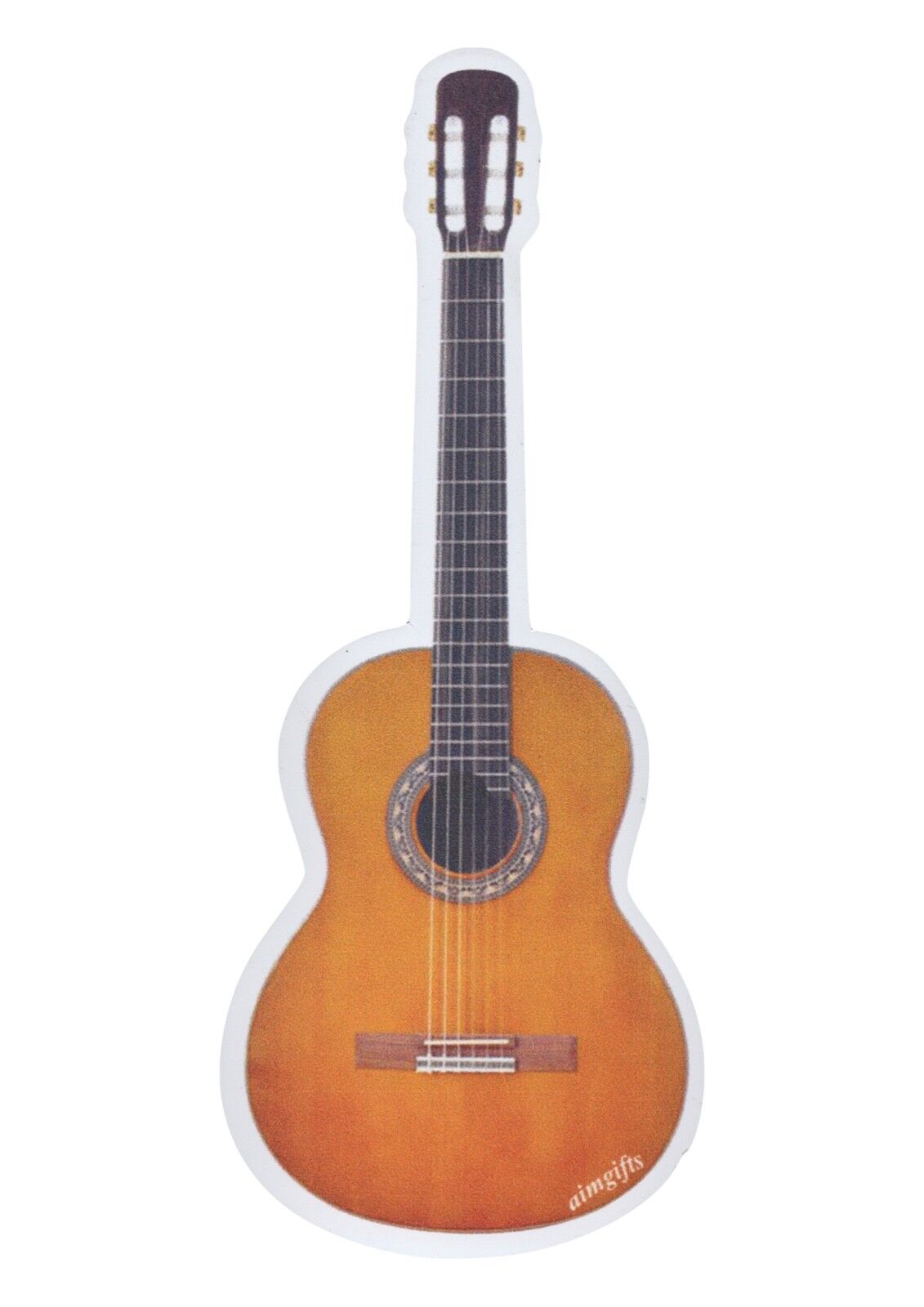 Acoustic Guitar Magnet
