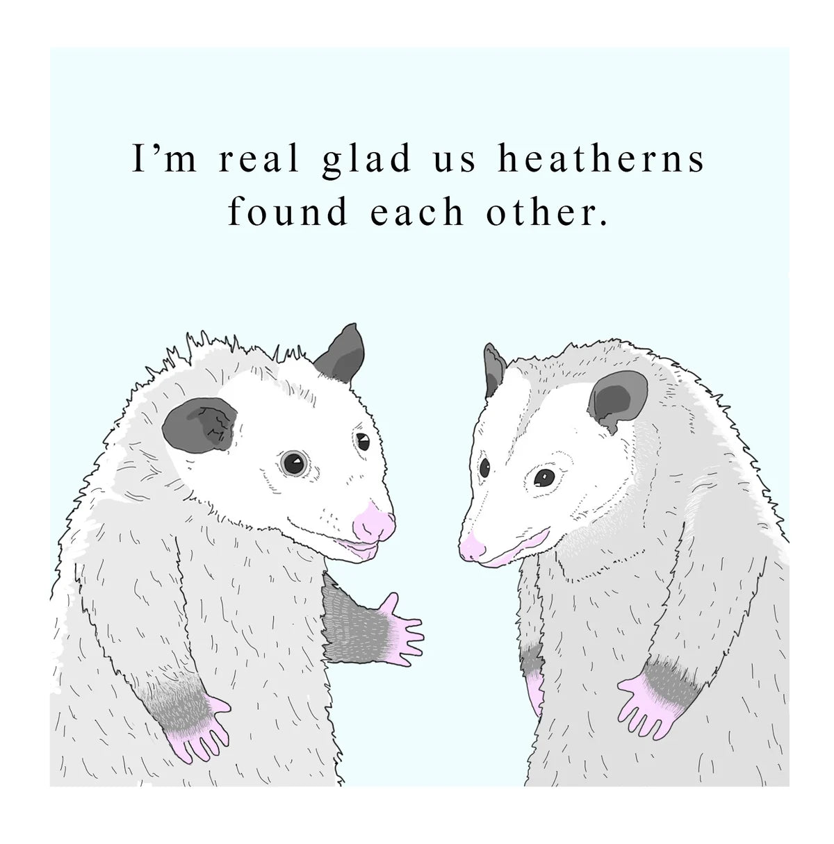 Possum Heatherns 7x7"
