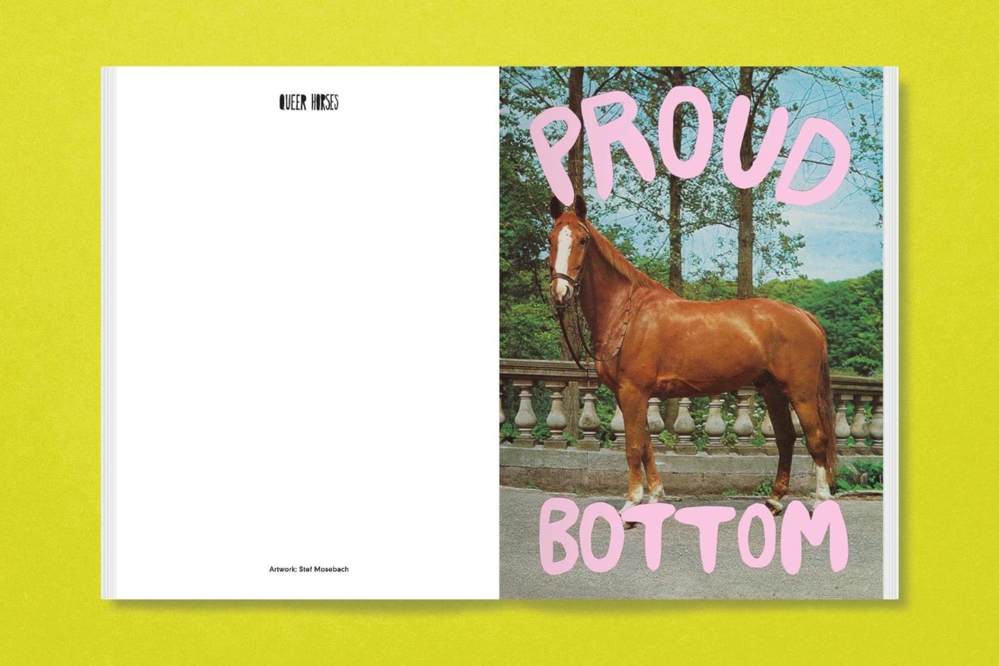 Queer Horses Postcard Book