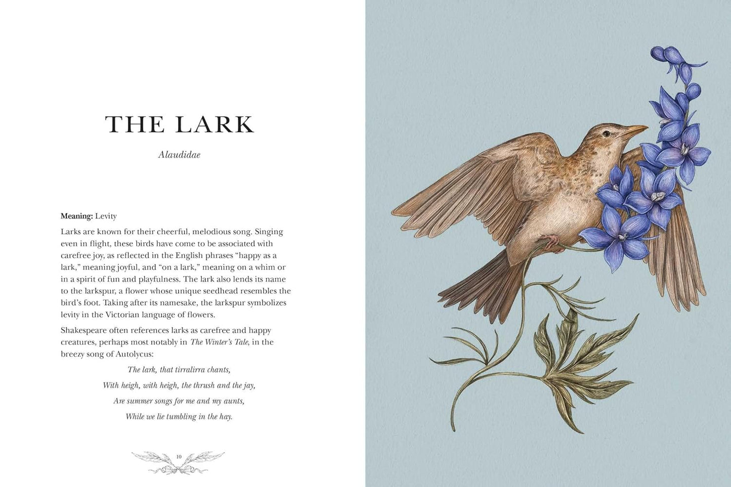 Ornithography book