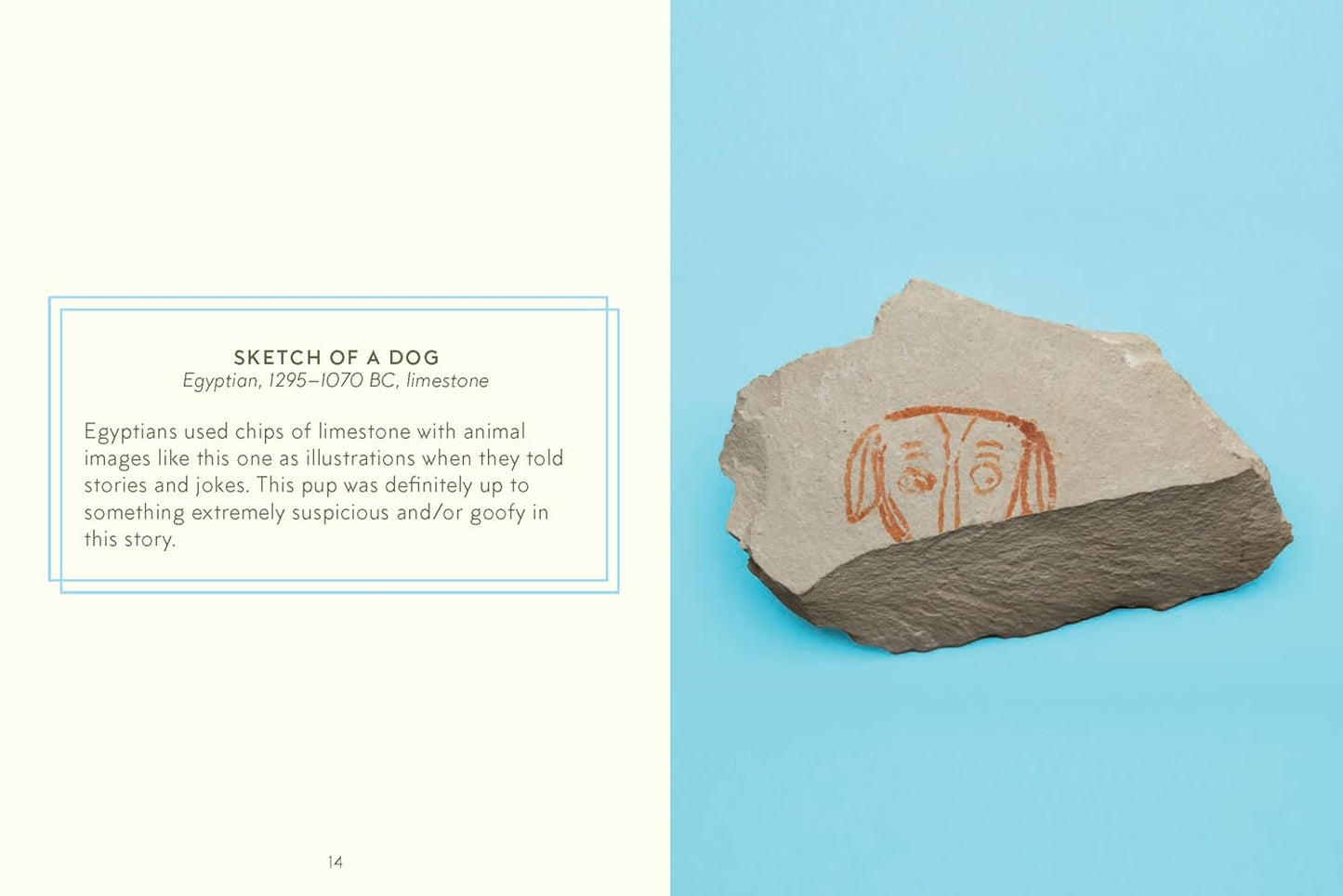 Museum of Dogs book