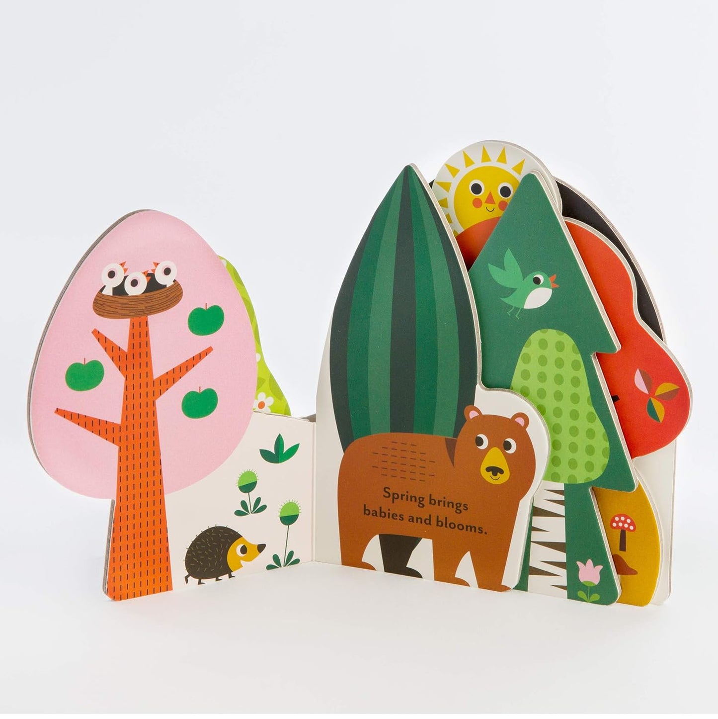 A Forest's Seasons board book
