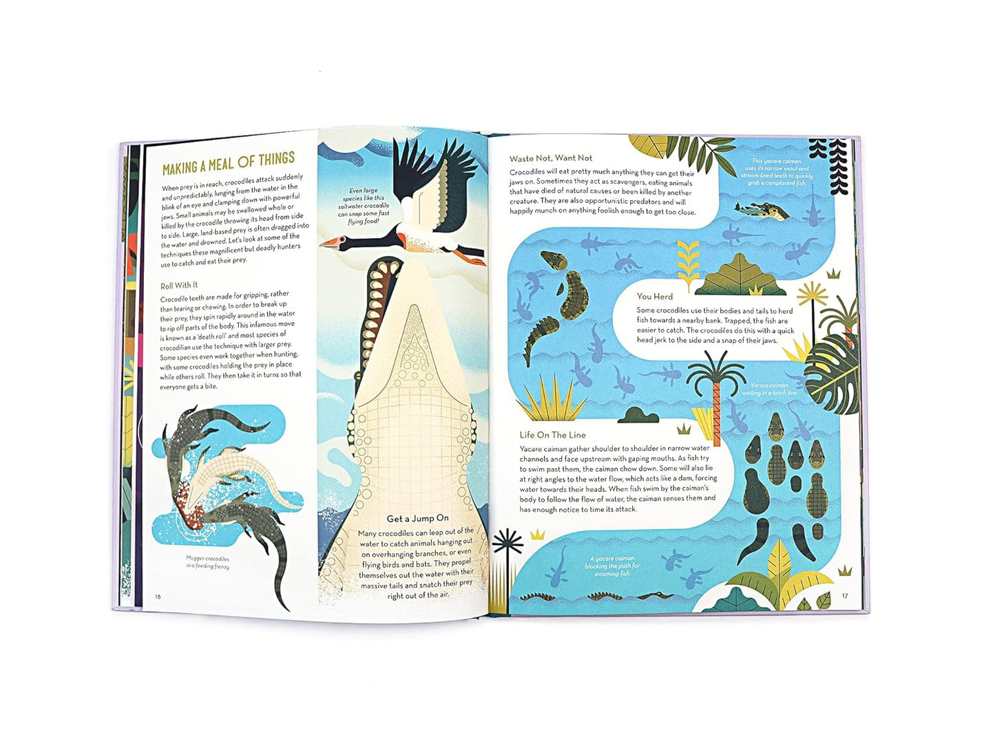 Curious About Crocodiles book