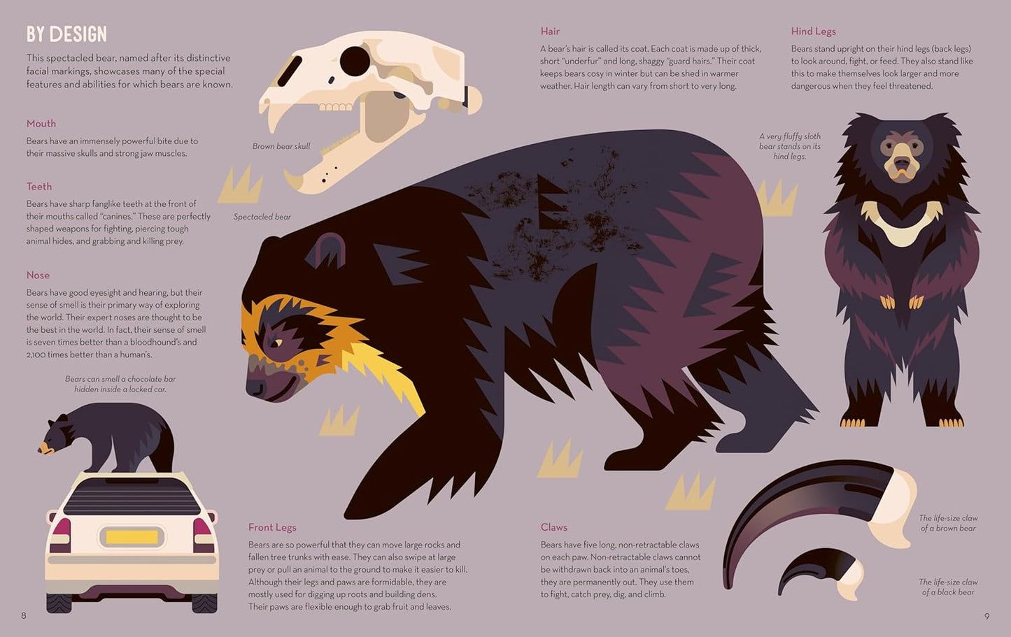 Brainy About Bears book