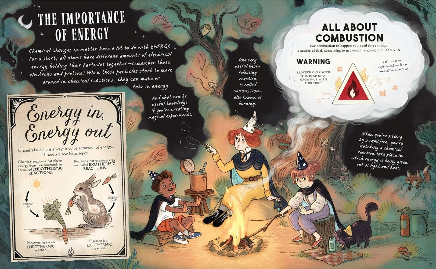 The Wizard's Guide to Magical Experiments book