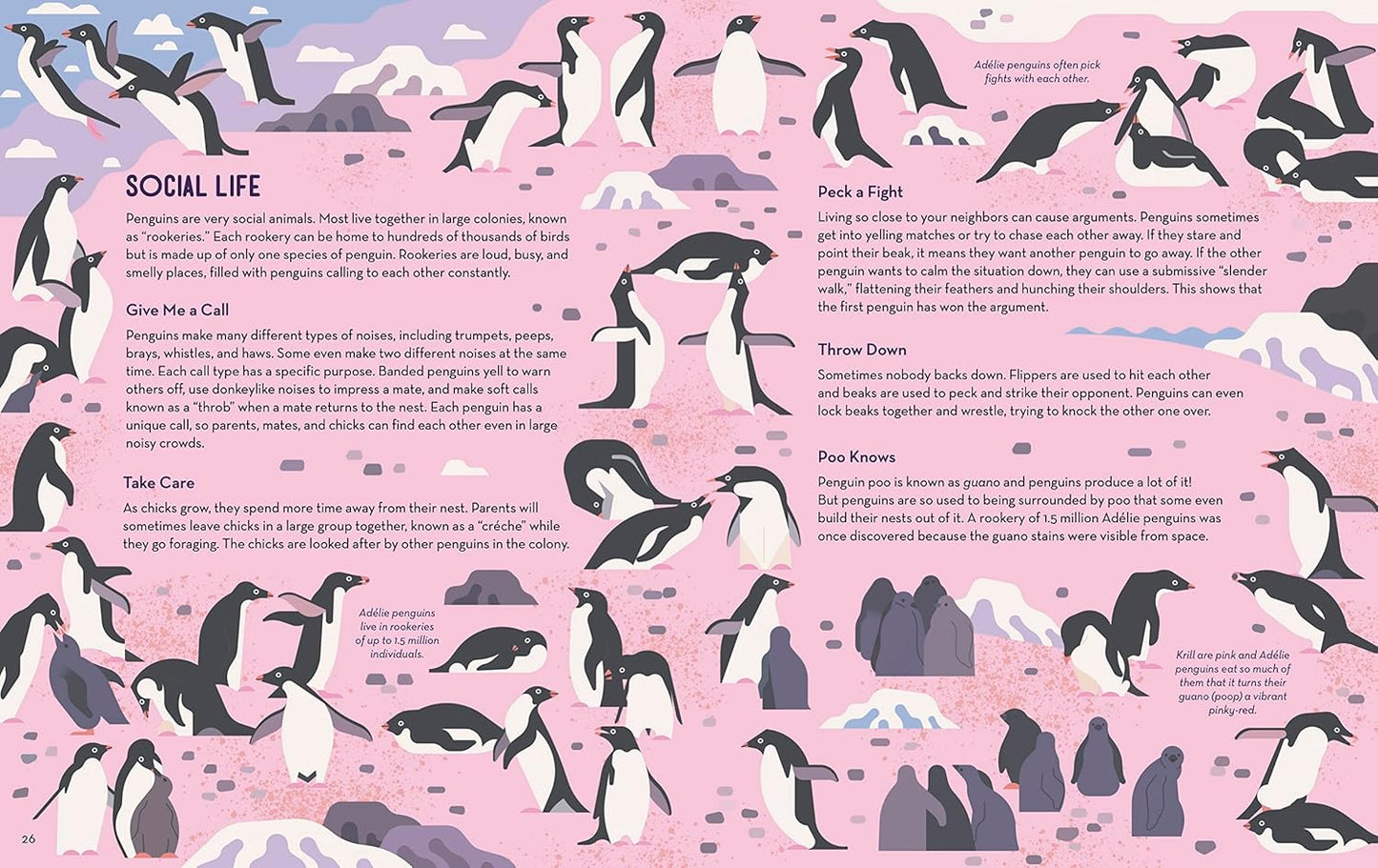 Passionate About Penguins book