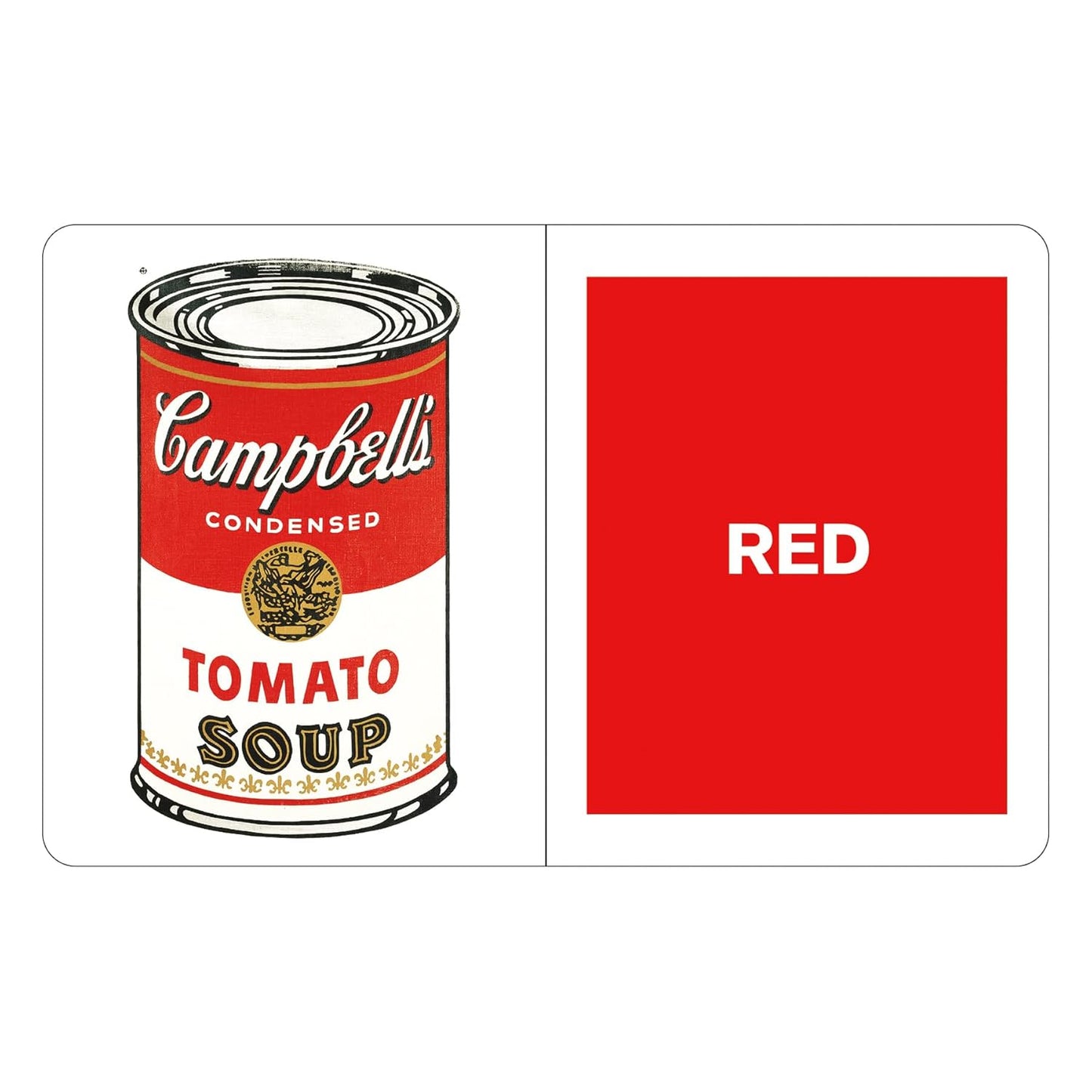 What Colors Do You See? board book