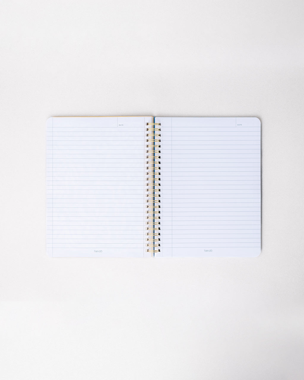 Tulips Rough Draft Notebook