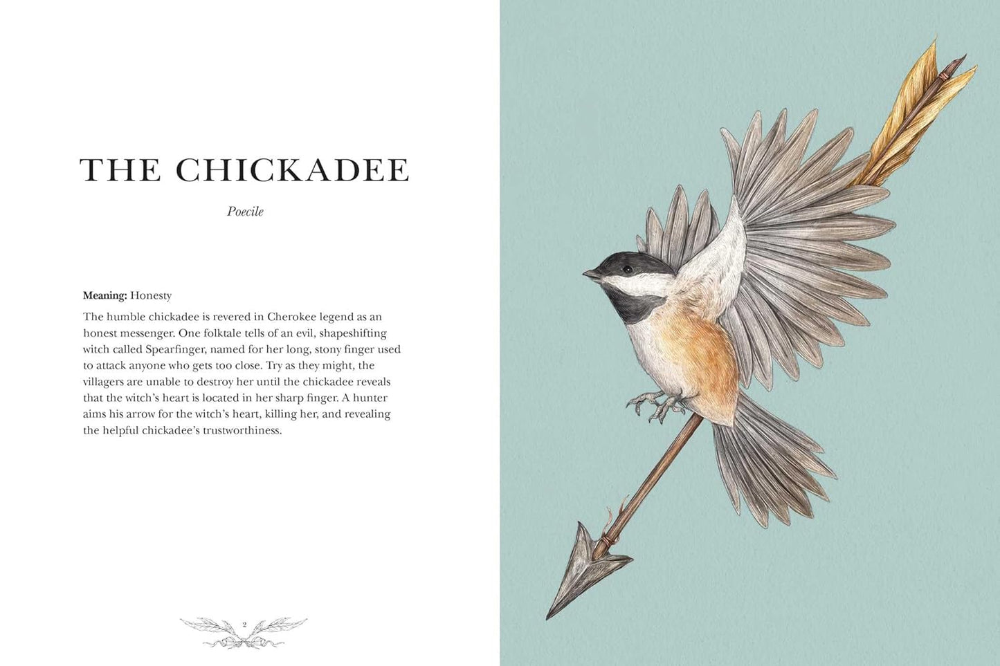 Ornithography book