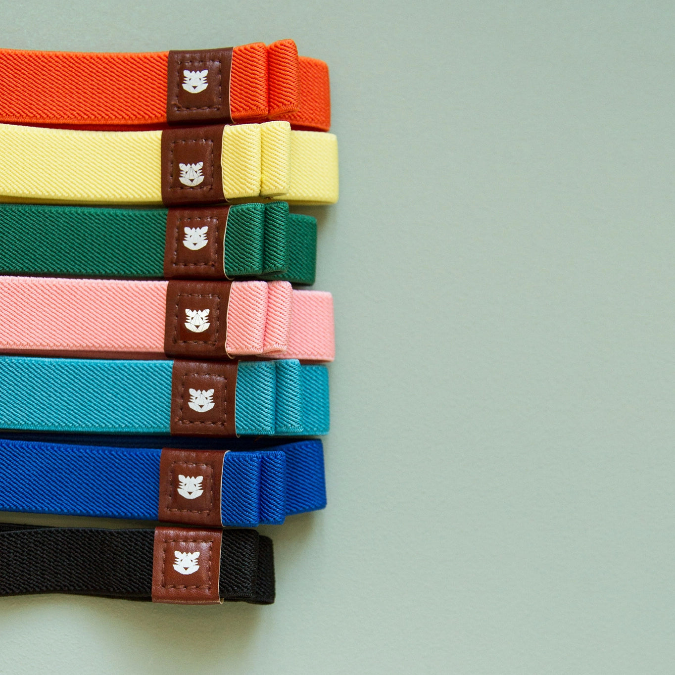 Traveler's Elastic Notebook Band
