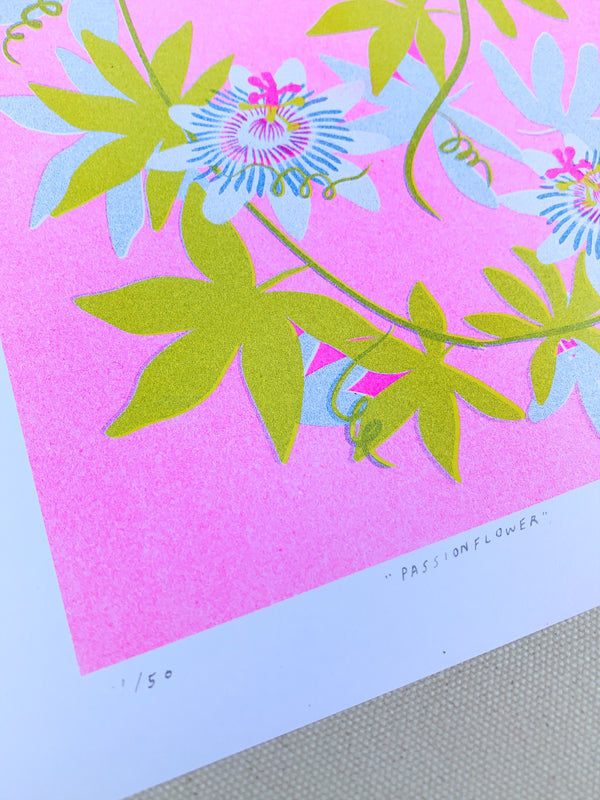 Passionflower 11x17"