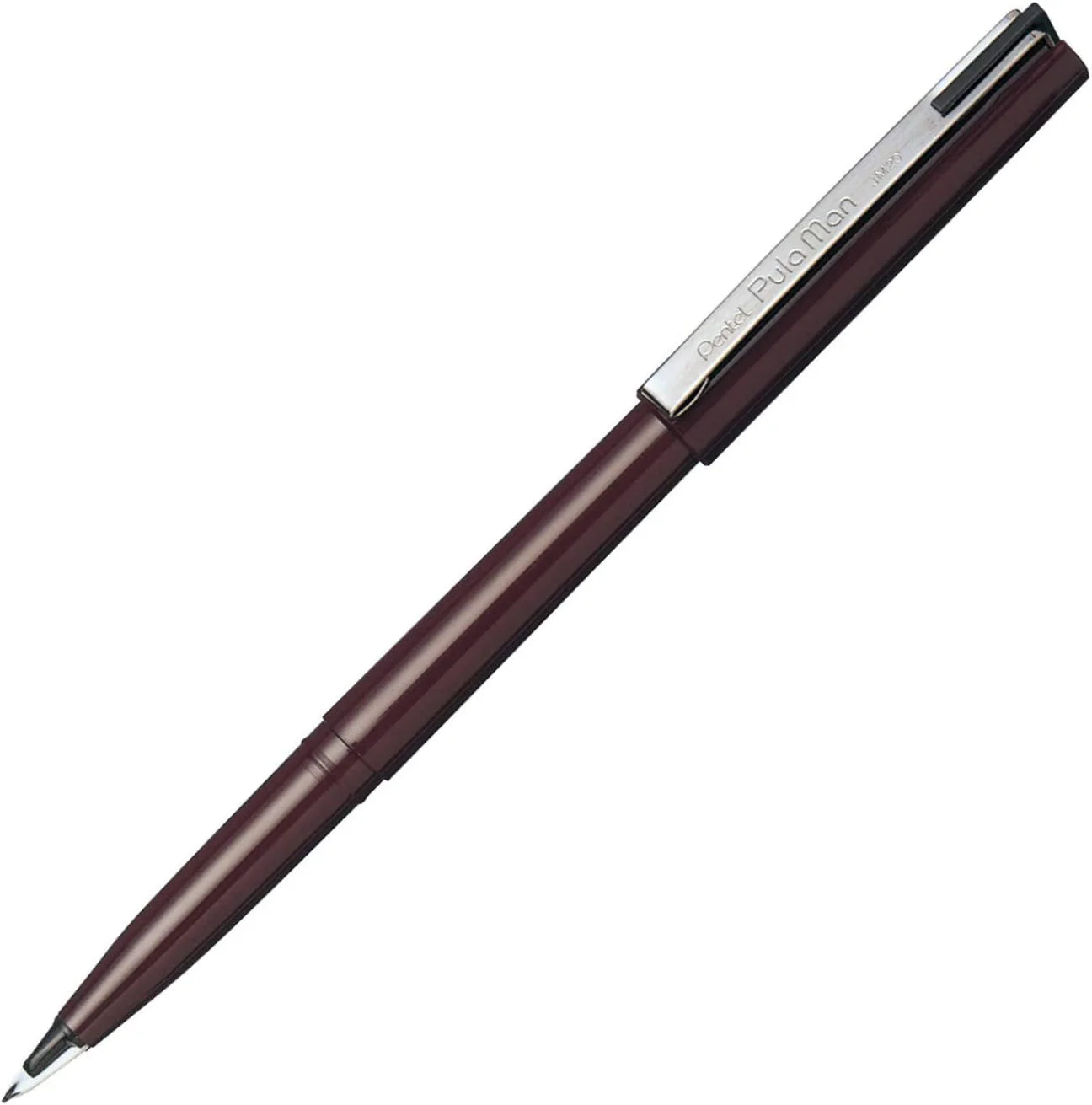 Pentel Pulaman Plastic Fountain Pen