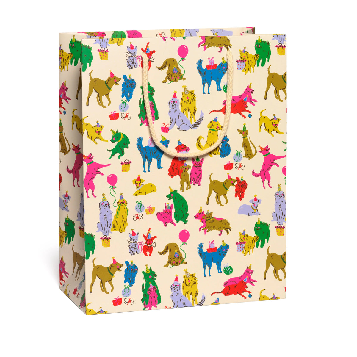 Large Gift Bag