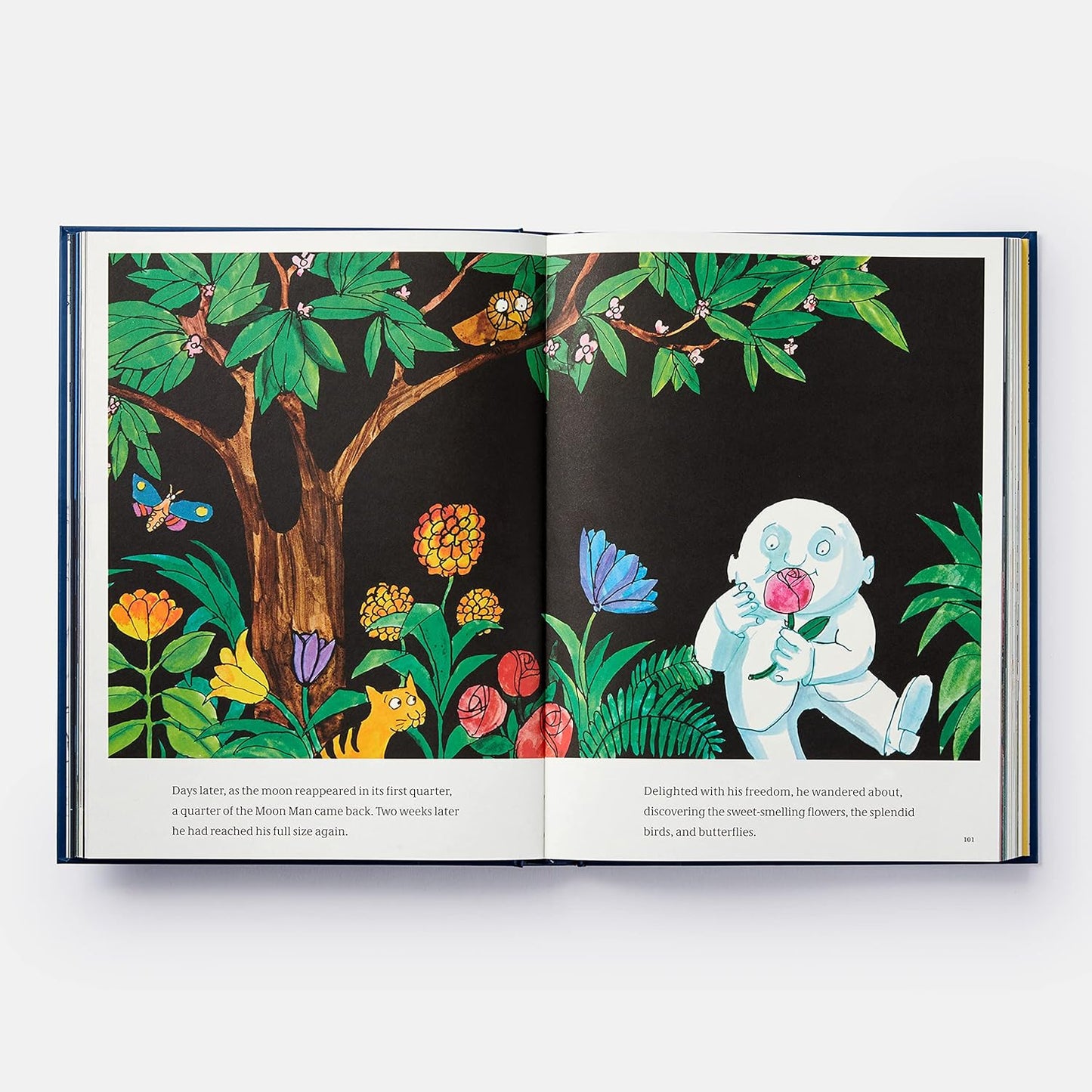 Tomi Ungerer: A Treasury of 8 Books