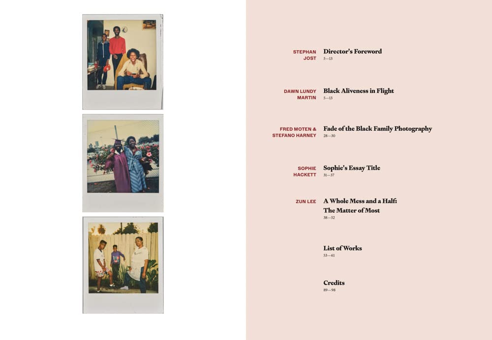 What Matters Most: Photographs of Black Life Book