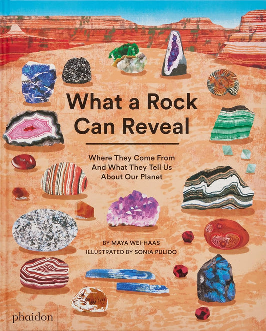 What a Rock Can Reveal Book