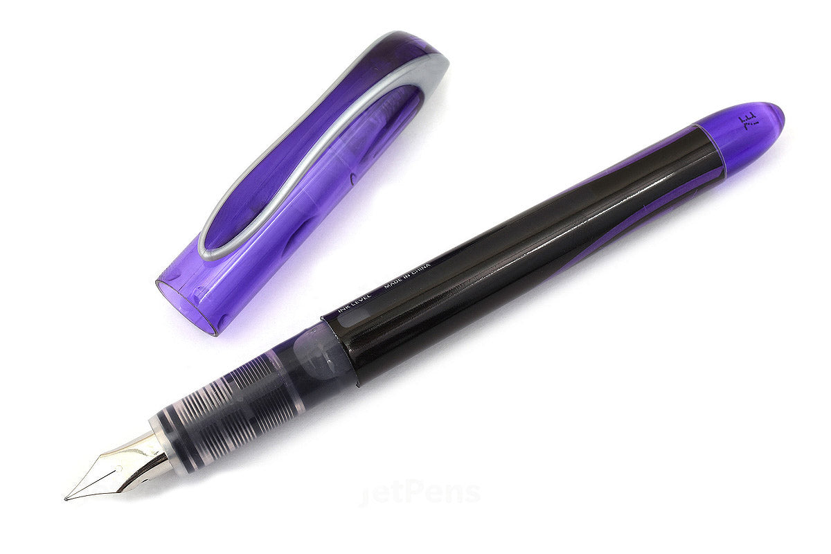 Zebra Fountain Pen