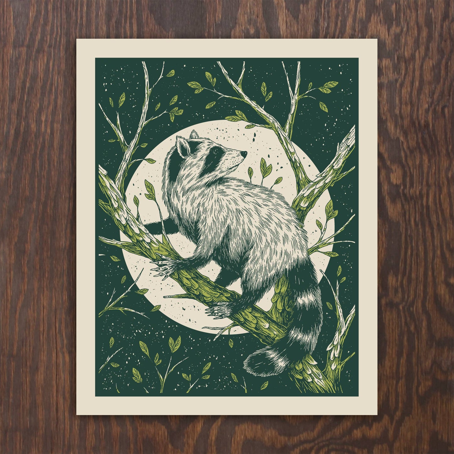 Raccoon print