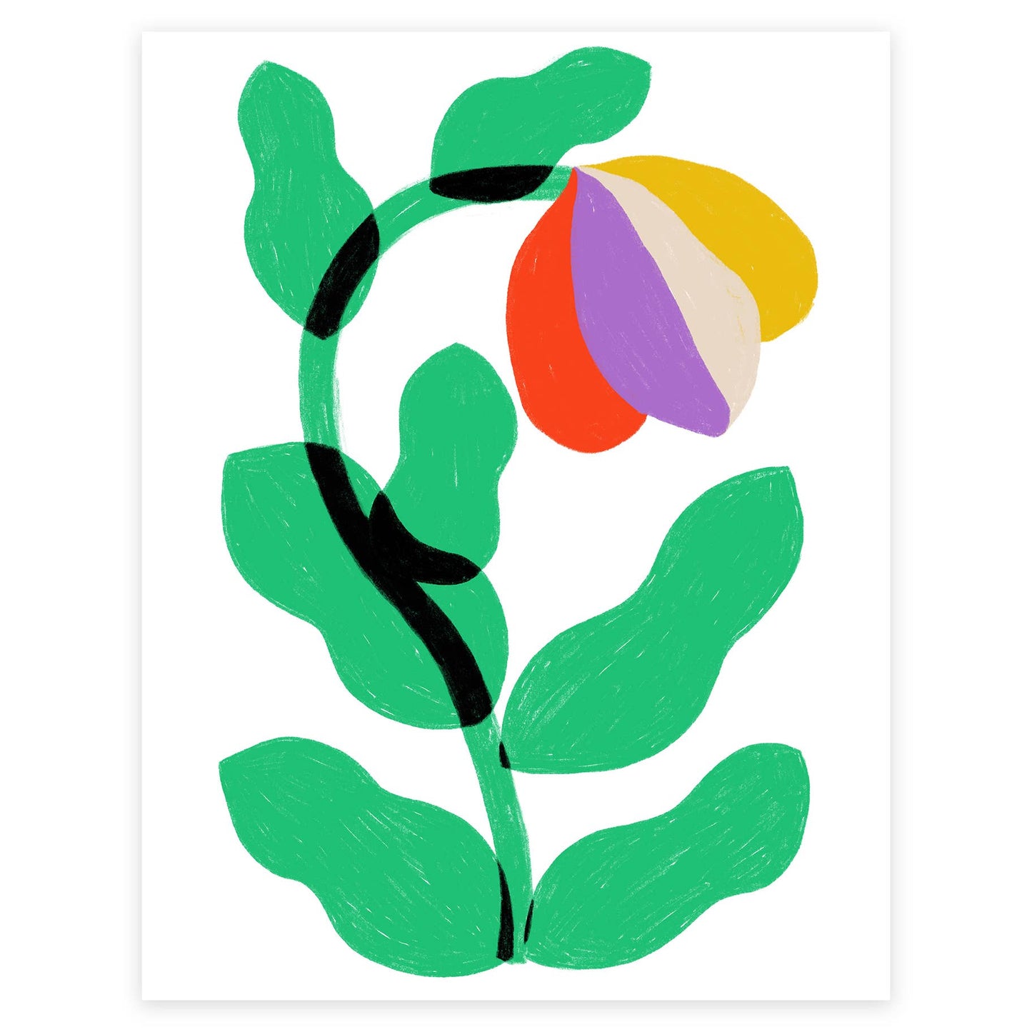 Summer Flower print
