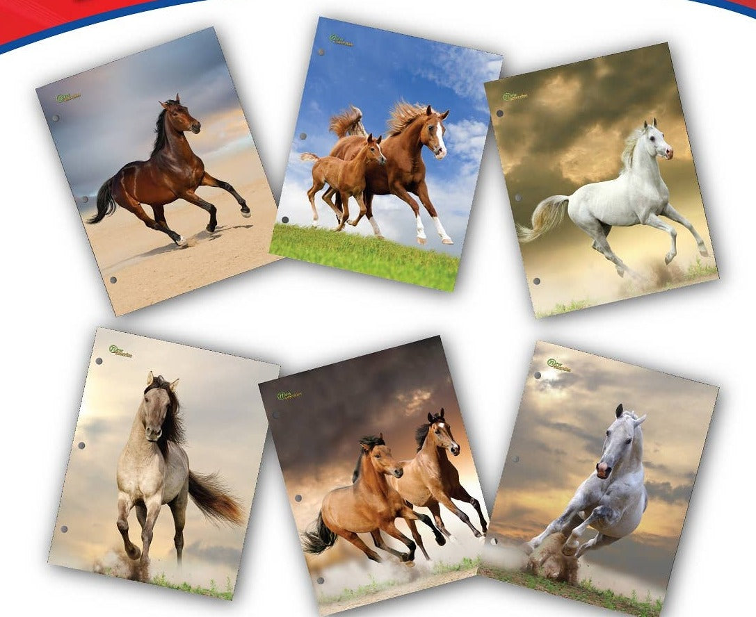 Horses - School 2 Pocket Folder