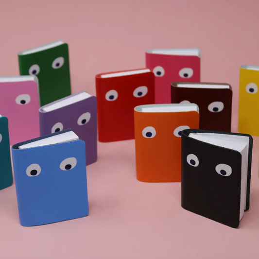 Googly Eye Mini Notebook