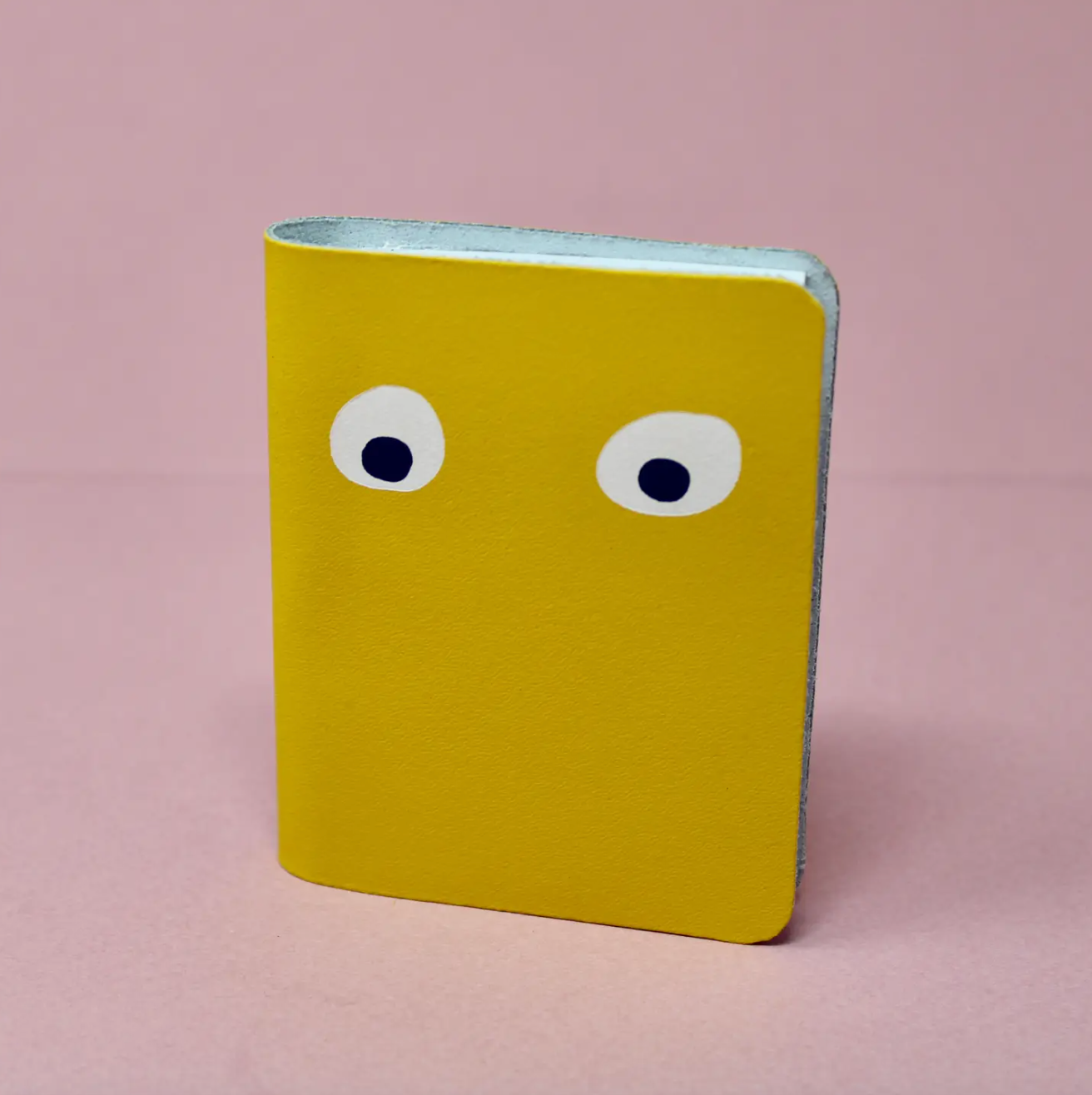 Googly Eye Mini Notebook