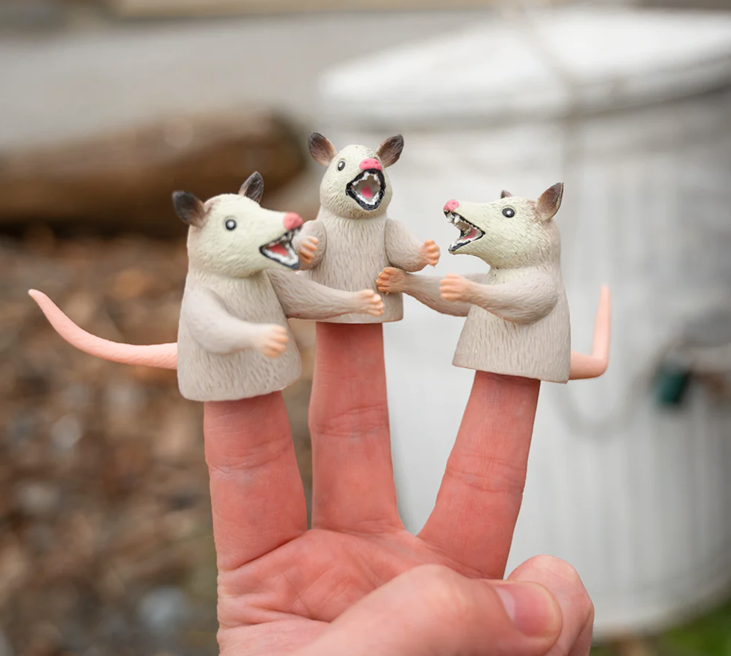 Finger Possums