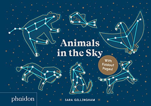 Animals in the Sky board book