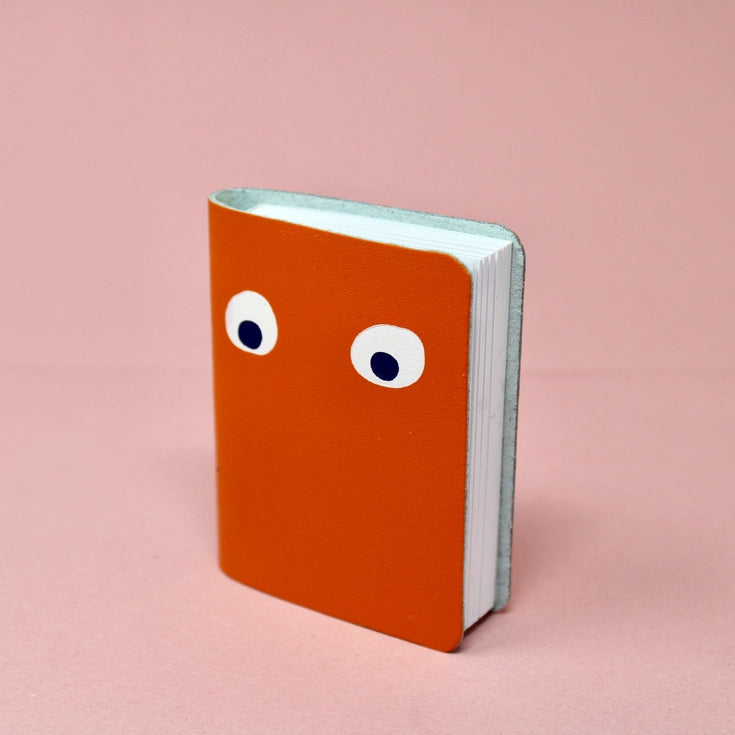 Googly Eye Mini Notebook