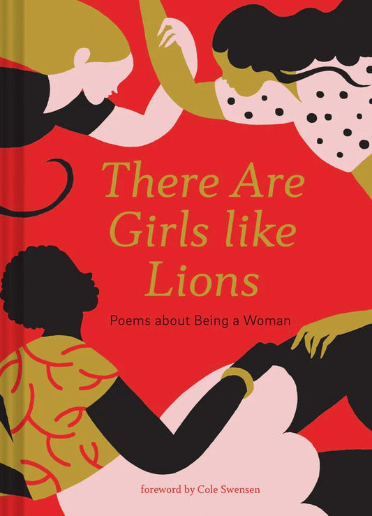 There Are Girls like Lions Book