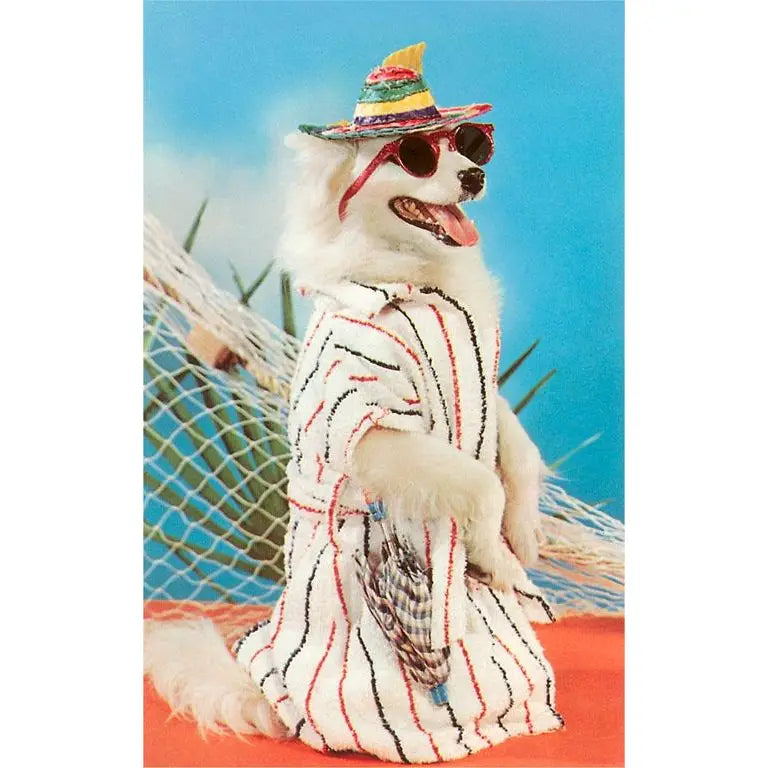 Retro Magnet