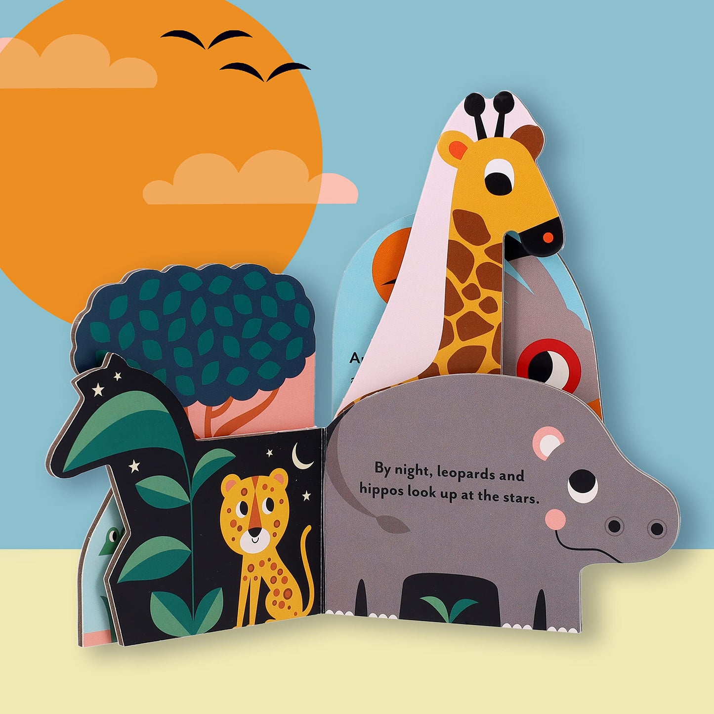 Wild Animals Board Book