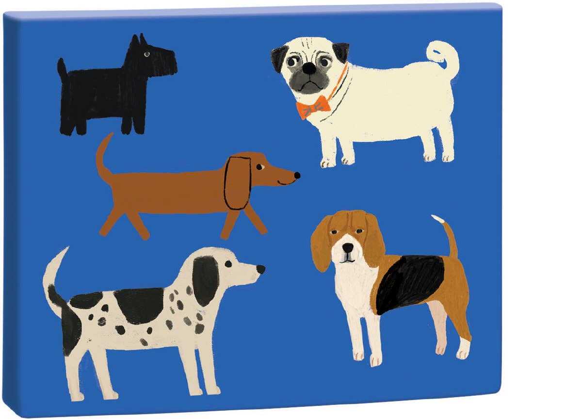 Shaggy Dogs Boxed Cards