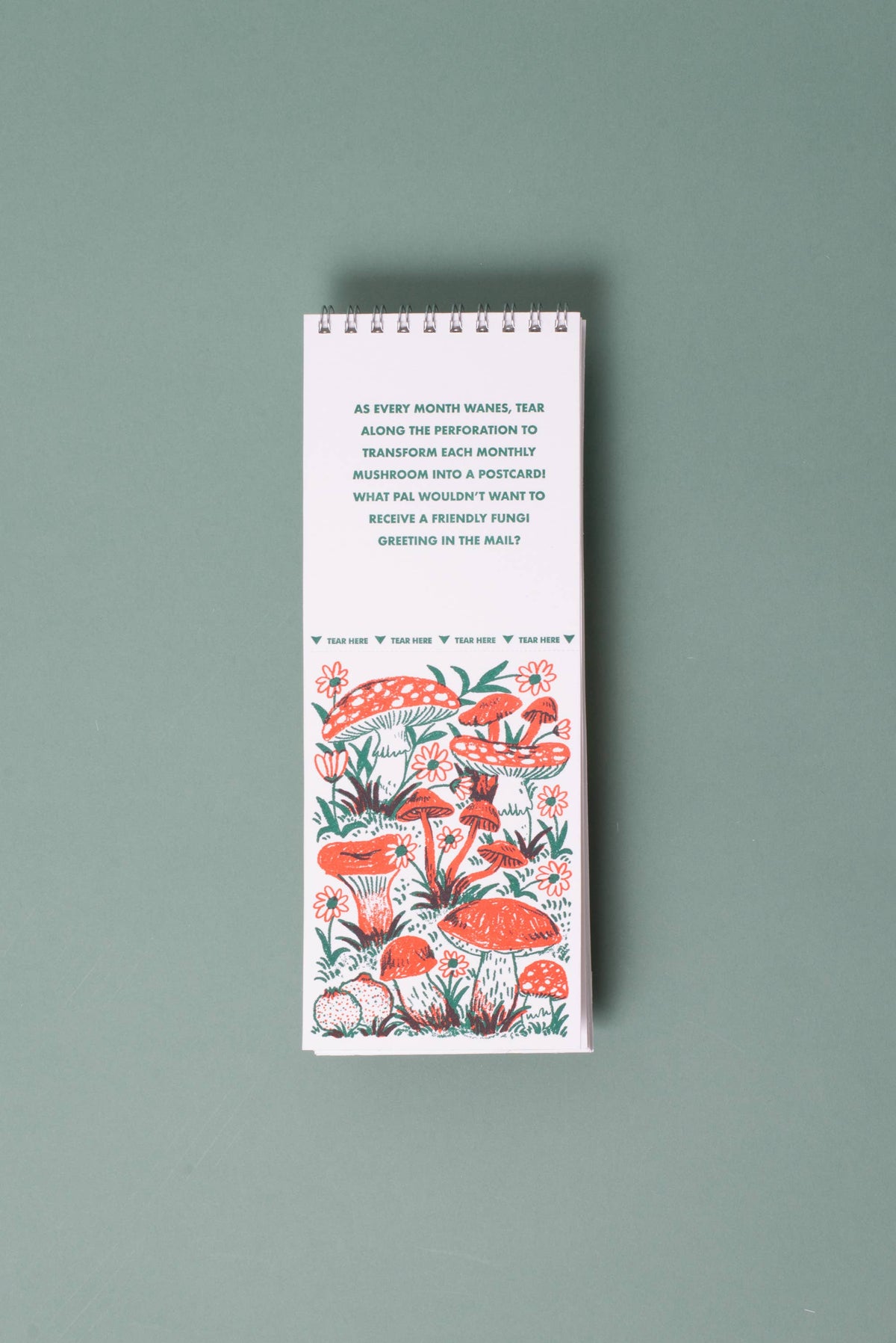 2027 Gnomes & Mushrooms Postcard Wall Calendar