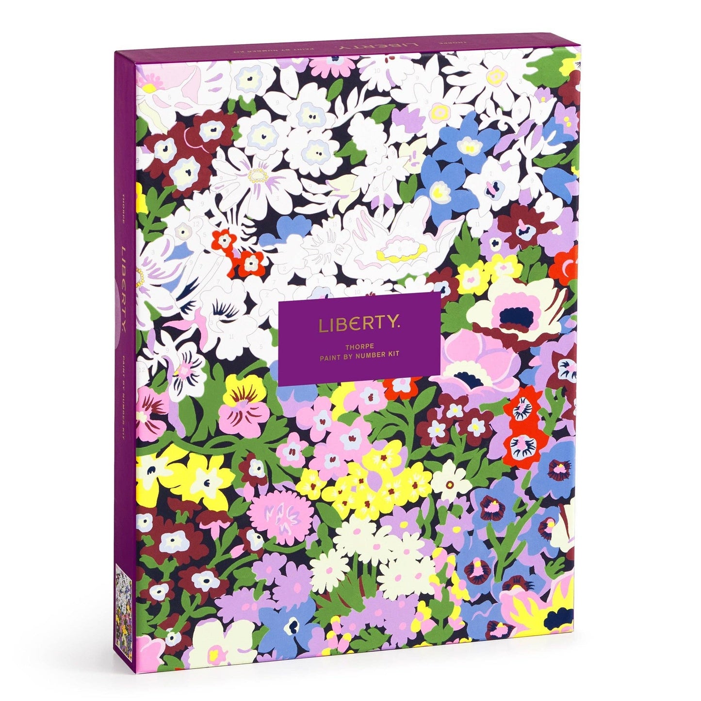 Liberty Paint by Number Kit