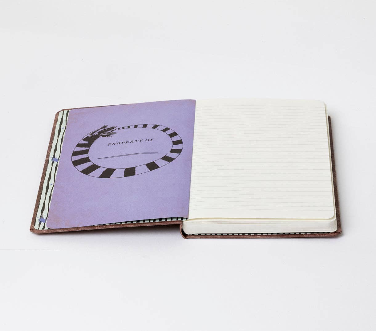Handbook for the Recently Deceased Journal