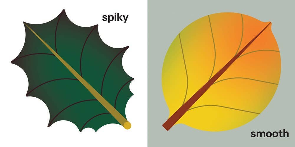 Touch and Trace: Opposites board book