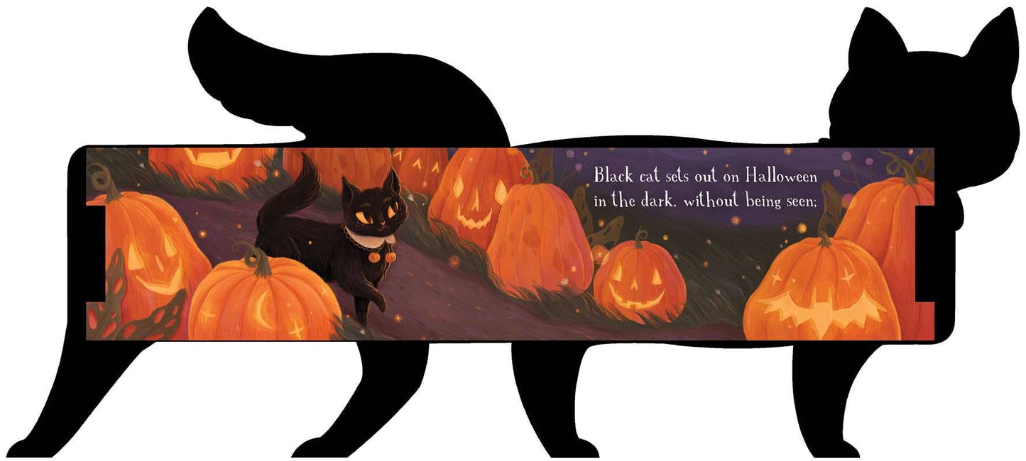 One Black Cat Board Book