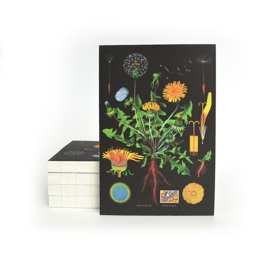 Botanical Dandelion Notebook