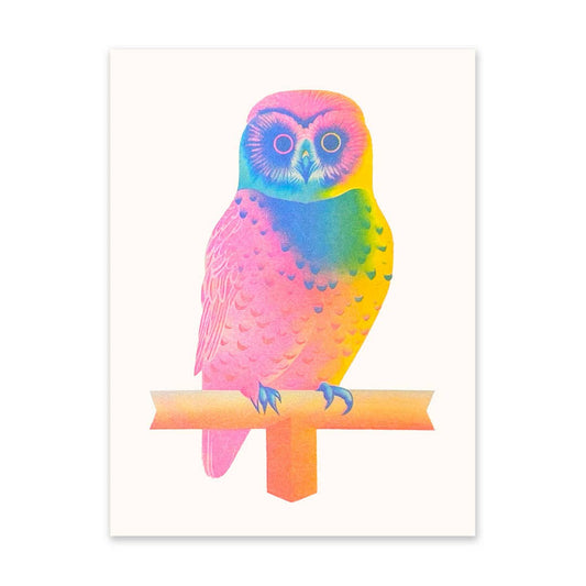 Neon Owl 8x6"