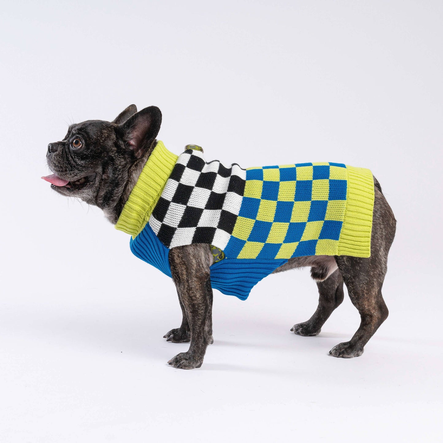 Checkerboard Dog Sweater (Medium - 18-26 lbs)