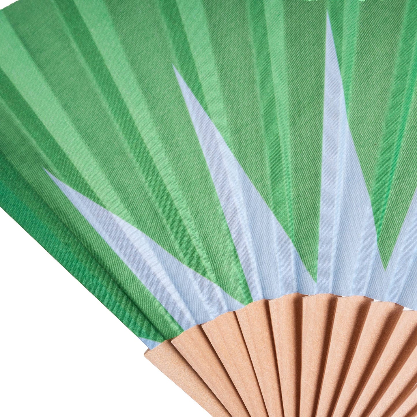 Geometric Green Fan